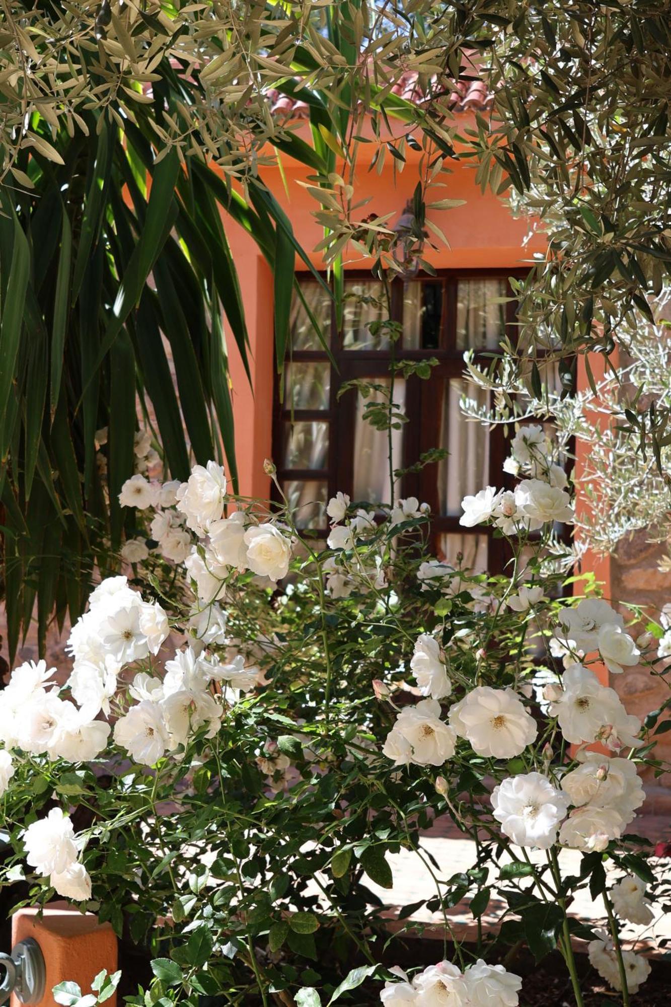 Domaine De La Roseraie Resort Ouirgane Buitenkant foto