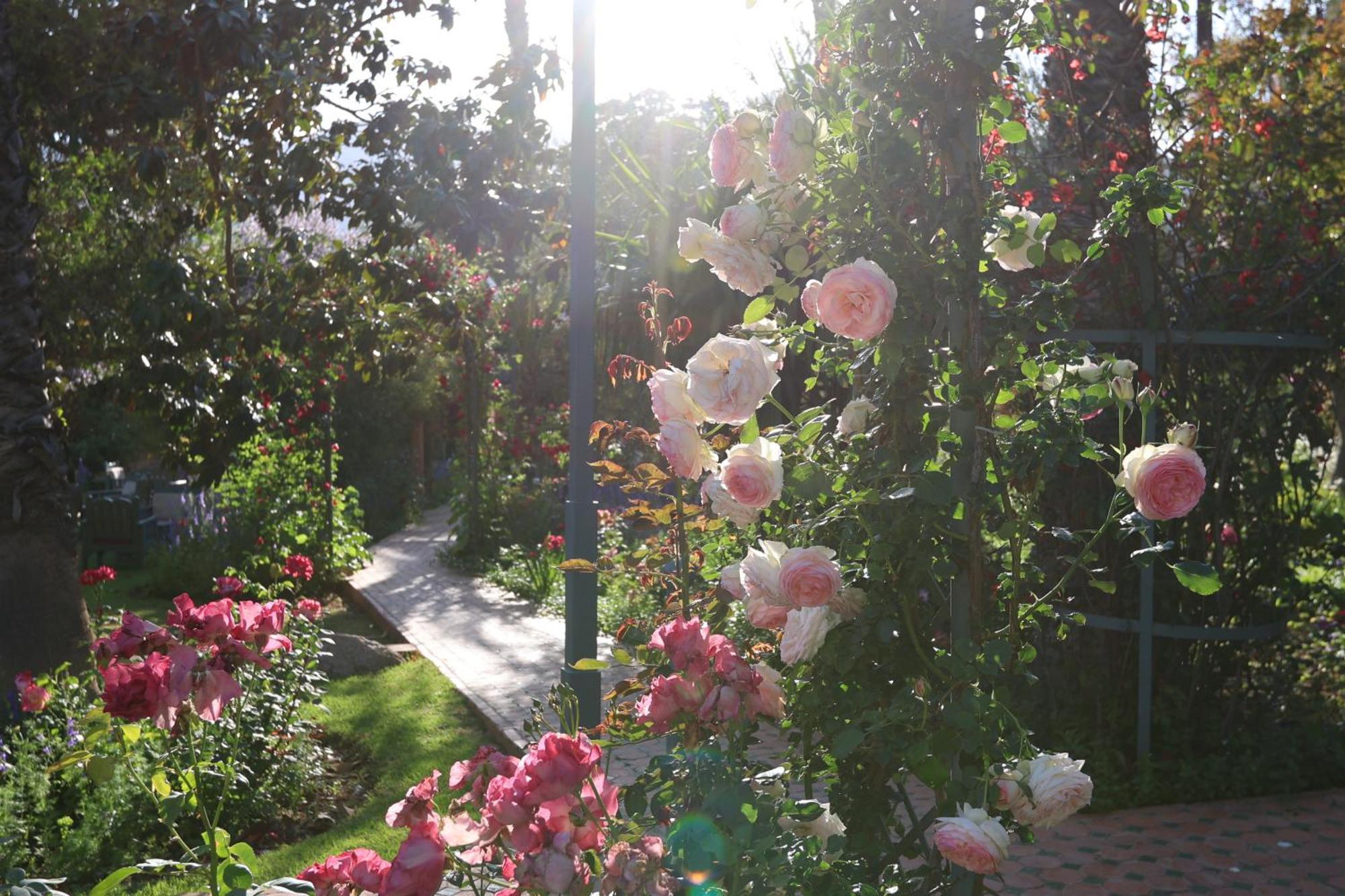 Domaine De La Roseraie Resort Ouirgane Buitenkant foto
