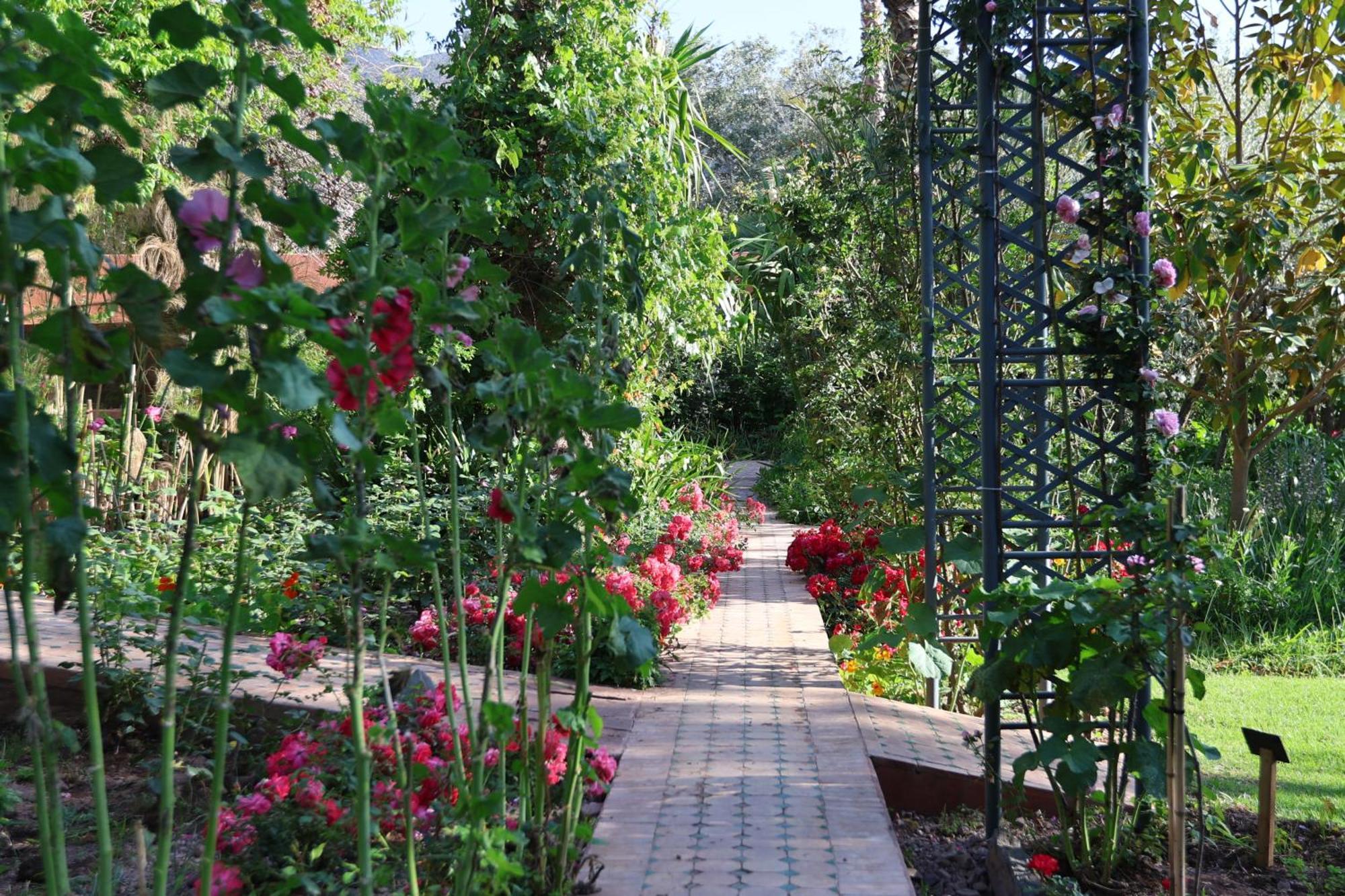 Domaine De La Roseraie Resort Ouirgane Buitenkant foto